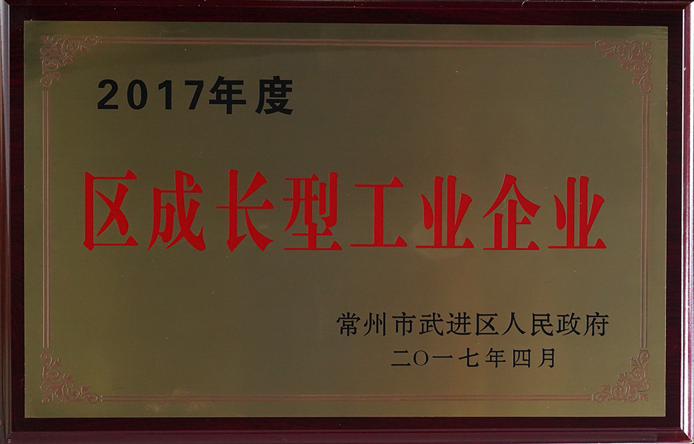 2017年度區(qū)成長型工業(yè)企業(yè)