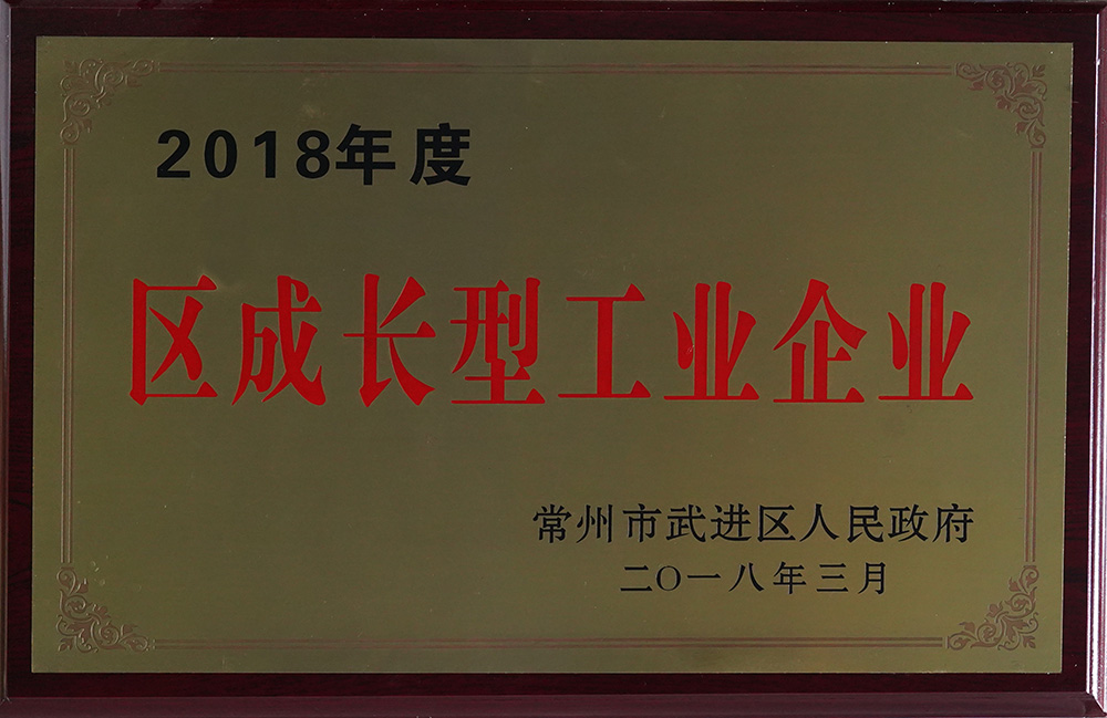 2018年度區(qū)成長型工業(yè)企業(yè)