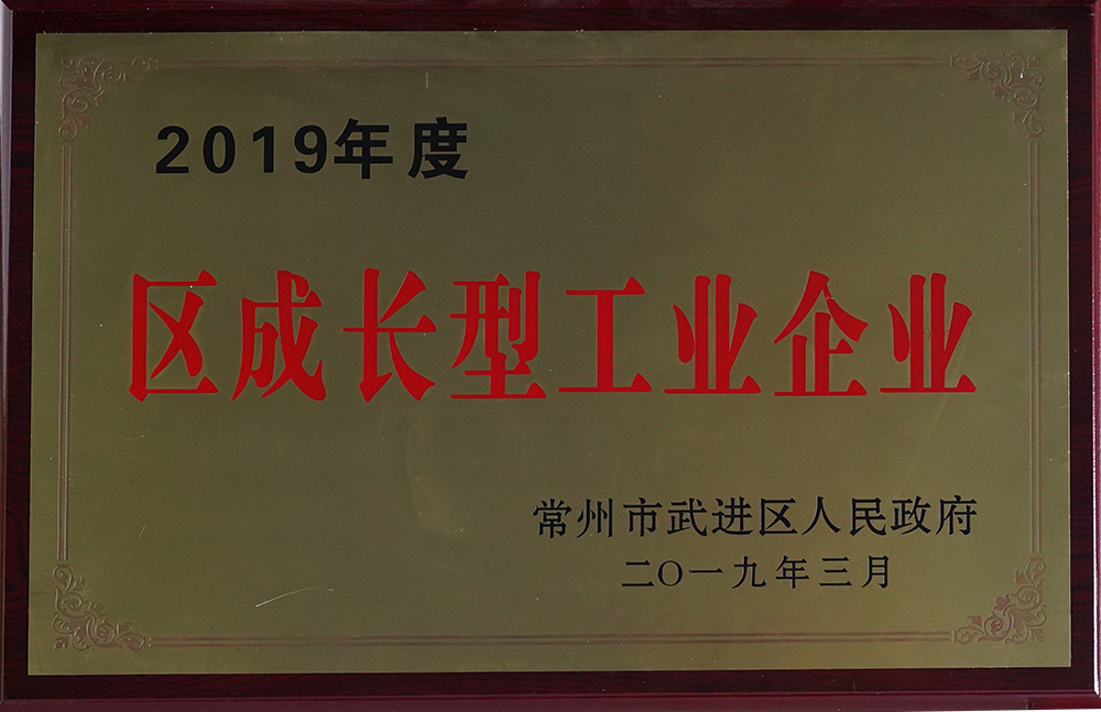 2019年度區(qū)成長型工業(yè)企業(yè)