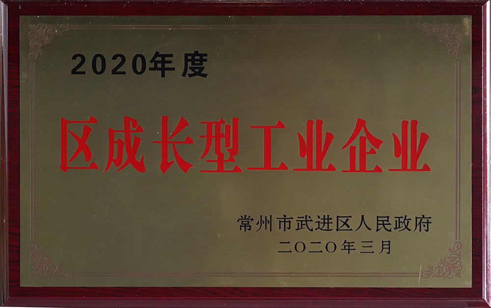 2020年度區(qū)成長(zhǎng)型工業(yè)企業(yè)